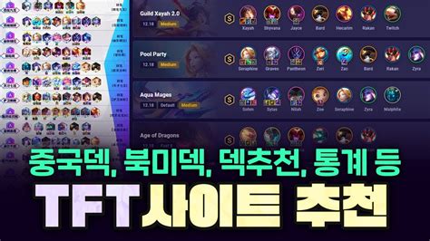 롤체지지 전략적 팀 전투 TFT (롤토체스) 전적검색.